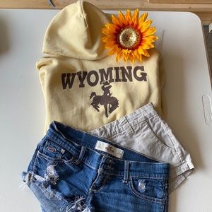 Wyoming Hoodie✨